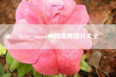 丽水中国金牌图片大全