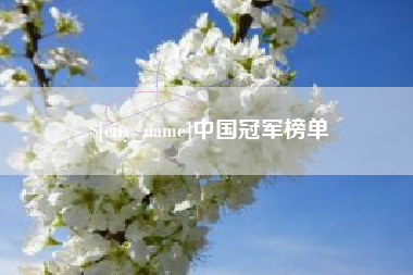丽水中国冠军榜单
