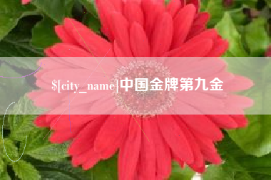 丽水中国金牌第九金