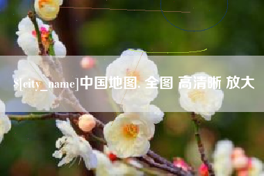 丽水中国地图. 全图 高清晰 放大