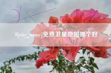 丽水免费卫星地图哪个好