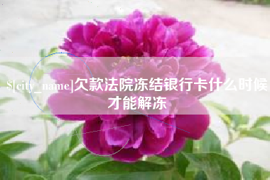 丽水欠款法院冻结银行卡什么时候才能解冻