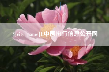 丽水1.中国执行信息公开网