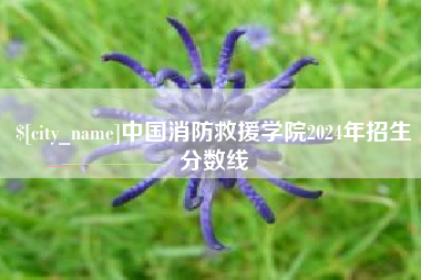 丽水中国消防救援学院2024年招生分数线