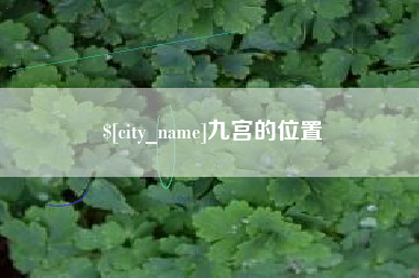 丽水九宫的位置