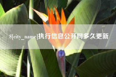 丽水执行信息公开网多久更新