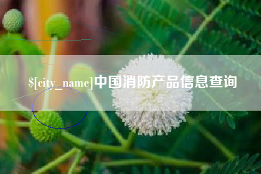 丽水中国消防产品信息查询