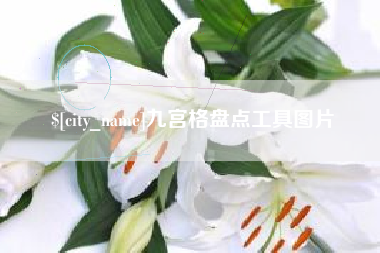丽水九宫格盘点工具图片