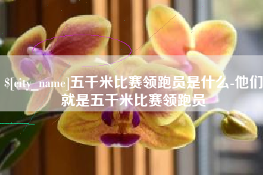 丽水五千米比赛领跑员是什么-他们就是五千米比赛领跑员