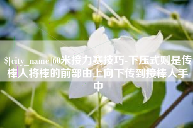 丽水60米接力赛技巧-下压式则是传棒人将棒的前部由上向下传到接棒人手中