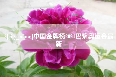 丽水中国金牌榜2024巴黎奥运会最新