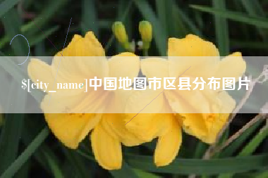 丽水中国地图市区县分布图片