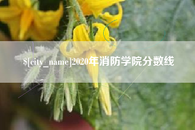 丽水2020年消防学院分数线