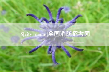 丽水全国消防招考网