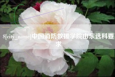 丽水中国消防救援学院山东选科要求