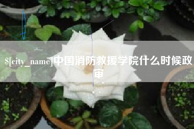 丽水中国消防救援学院什么时候政审