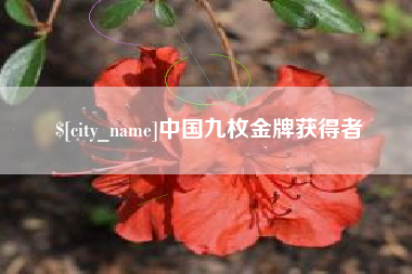 丽水中国九枚金牌获得者