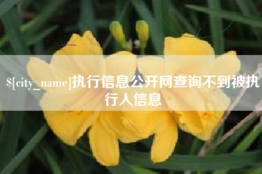 丽水执行信息公开网查询不到被执行人信息