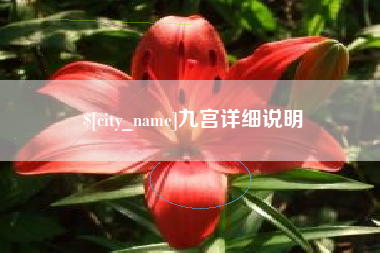 丽水九宫详细说明