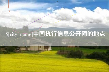 丽水中国执行信息公开网的地点