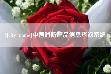 丽水中国消防产品信息查询系统1