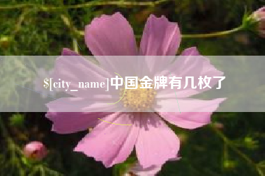 丽水中国金牌有几枚了