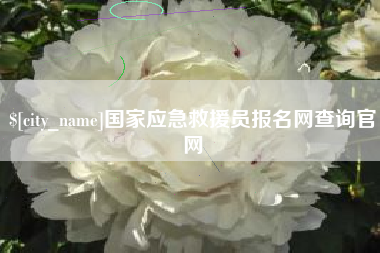 丽水国家应急救援员报名网查询官网