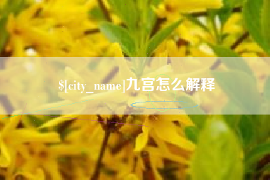 丽水九宫怎么解释