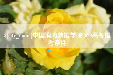 丽水中国消防救援学院2020高考报考条件