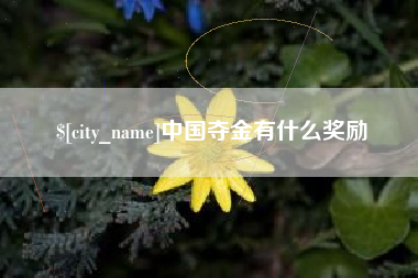 丽水中国夺金有什么奖励