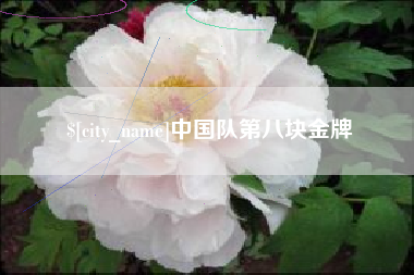 丽水中国队第八块金牌