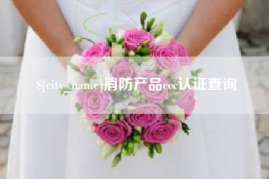 丽水消防产品ccc认证查询