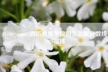丽水消防救援学院招生录取分数线2020福建
