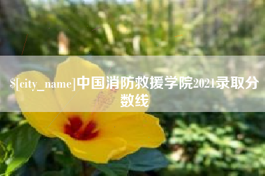 丽水中国消防救援学院2021录取分数线