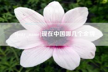 丽水现在中国哪几个金牌