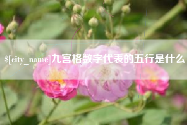 丽水九宫格数字代表的五行是什么