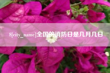 丽水全国的消防日是几月几日