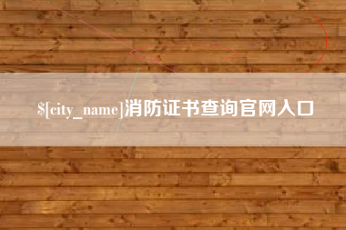 丽水消防证书查询官网入口
