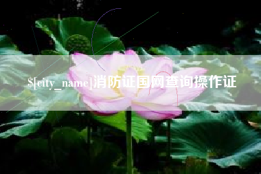 丽水消防证国网查询操作证