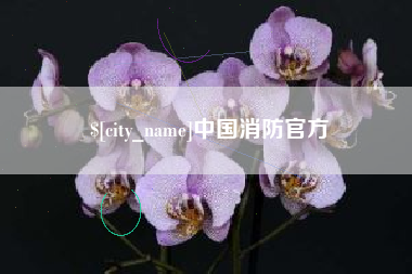 丽水中国消防官方