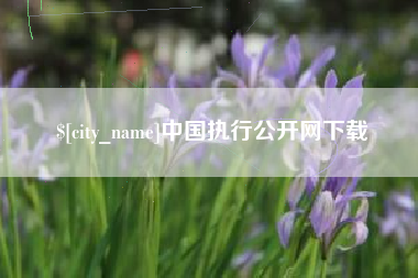 丽水中国执行公开网下载