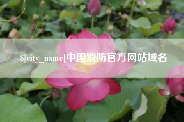 丽水中国消防官方网站域名