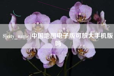 丽水中国地图电子版可放大手机版吗