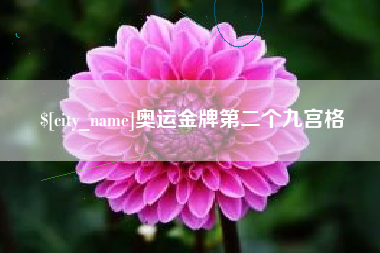 丽水奥运金牌第二个九宫格