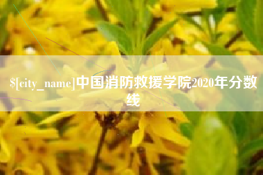 丽水中国消防救援学院2020年分数线