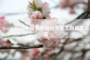 丽水中国金牌图片大全大图真实高清