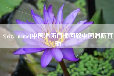 丽水中国消防直播回放中国消防直播