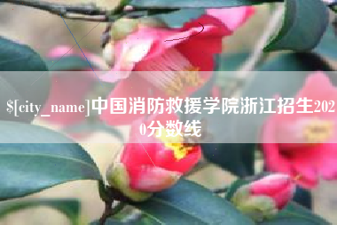 丽水中国消防救援学院浙江招生2020分数线