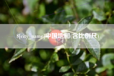 丽水中国地图(含比例尺)