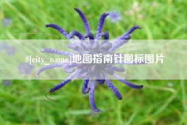 丽水地图指南针图标图片